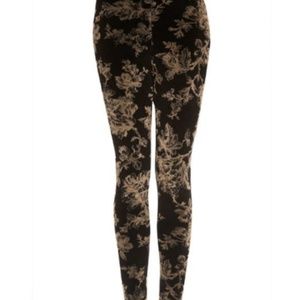 Topshop Baroque Floral Print Velvet Leggings